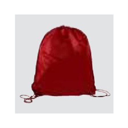 Red Shoe Bag
