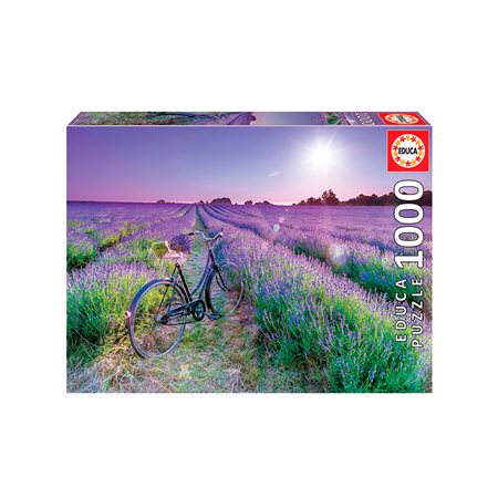Puzzle 1000 pieces - Bicycle in the lavender fields