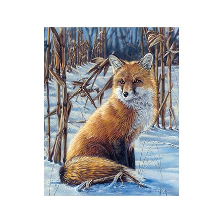 Paint by Numbers - Fox in the Snow (Frame)