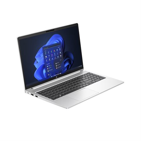 HP ProBook 455 G10, 15"