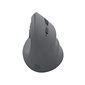 Track Ergo Wireless Mouse - Grey